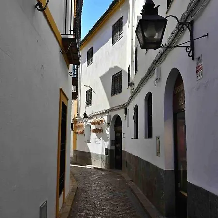 Aljara Mezquita *